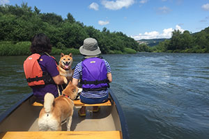 北海道でペットとカヌー川下り