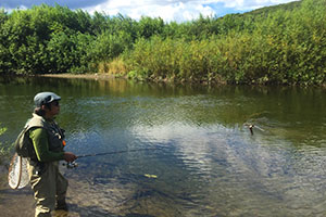 新緑の北海道でフィッシング