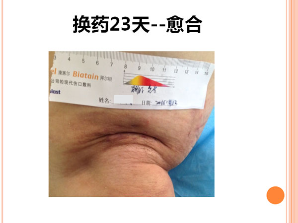 传 真：0317-3521004