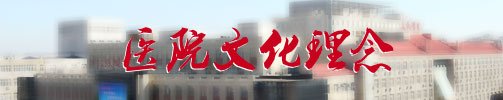 发展阶段2008-至今